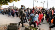 Syrian refugees