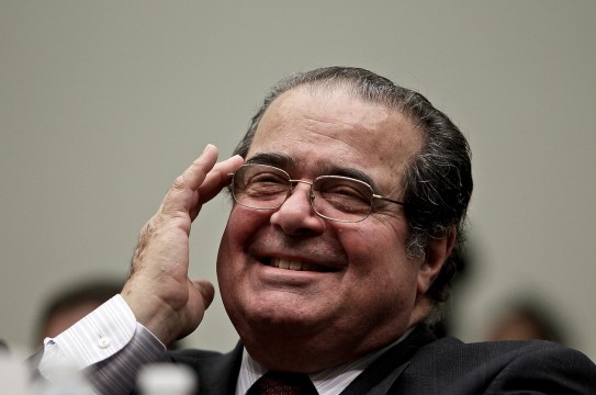 scalia