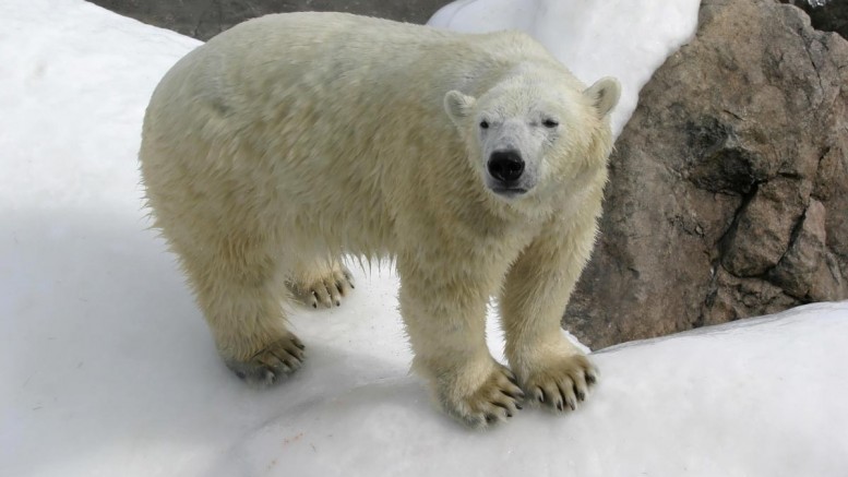 Climate change ‘consensus’ actually derived from the opinions of just 75 hand-picked U.S. scientists