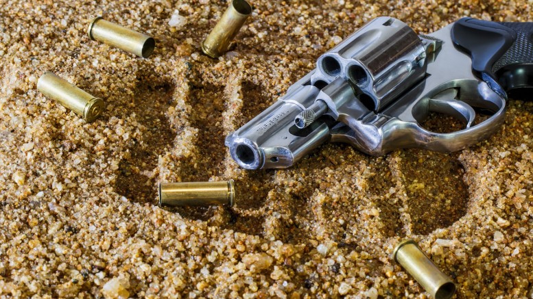 Here’s all the new oppressive gun regulations we scored with this January